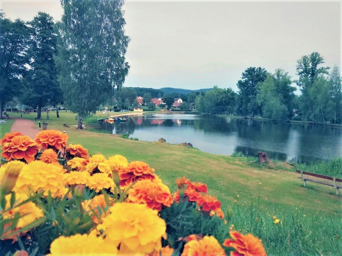 Camping Ramstein Plage Hotell Baerenthal Exteriör bild